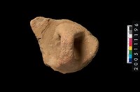 藏品(盆形蓋)的圖片