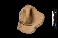 藏品(盆形蓋)的圖片