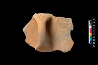 藏品(盆形蓋)的圖片