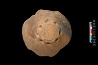 藏品(盆形蓋)的圖片