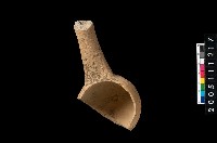 藏品(陶勺)的圖片