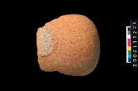 藏品(陶勺)的圖片