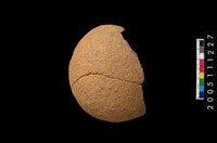 藏品(陶勺)的圖片