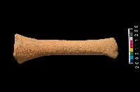 藏品(勺把)的圖片