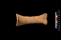 藏品(勺把)的圖片