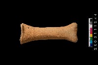 藏品(勺把)的圖片