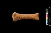 藏品(勺把)的圖片