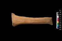 藏品(勺把)的圖片