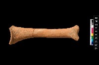 藏品(勺把)的圖片