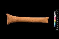 藏品(勺把)的圖片