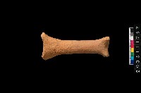 藏品(勺把)的圖片