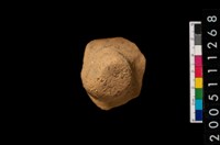 藏品(鈕把)的圖片