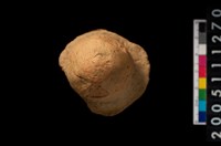 藏品(鈕把)的圖片