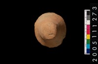 藏品(鈕把)的圖片