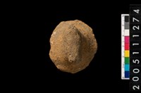 藏品(鈕把)的圖片