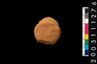 藏品(鈕把)的圖片