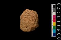 藏品(繩紋蓋把)的圖片