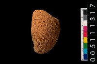 藏品(陶紡輪)的圖片