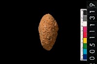 藏品(陶紡輪)的圖片