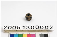 藏品(爪哇鳥珠)的圖片