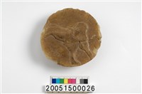 藏品(蜂蠟)的圖片