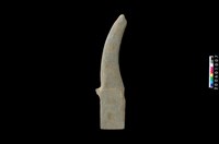 藏品(石鐮)的圖片