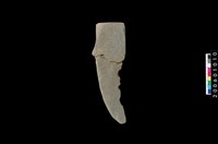 藏品(石鐮)的圖片