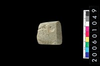 藏品(石錛)的圖片