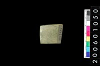 藏品(石錛)的圖片