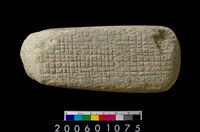 藏品(有槽石棒)的圖片