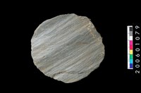 藏品(打製板岩片)的圖片