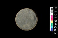 藏品(旋截板岩石核)的圖片