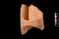 藏品(帶豎把口緣)的圖片