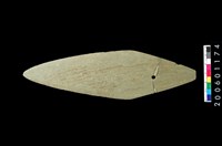 藏品(石矛)的圖片