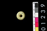 藏品(玉管珠)的圖片