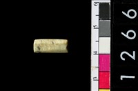 藏品(管珠)的圖片