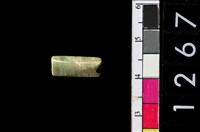 藏品(管珠)的圖片