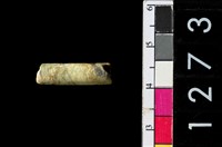 藏品(管珠)的圖片