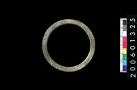 藏品(板岩石環)的圖片