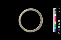 藏品(板岩石環)的圖片