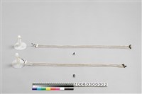 藏品(男子耳飾)的圖片