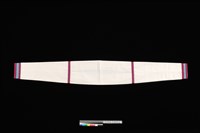 藏品(女子套袖)的圖片