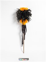 藏品(羽毛手杖)的圖片