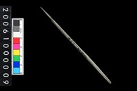 藏品(石針)的圖片