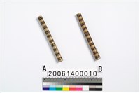 藏品(男子耳飾)的圖片