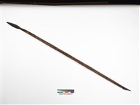 藏品(長矛)的圖片