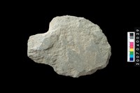 藏品(打製石斧)的圖片