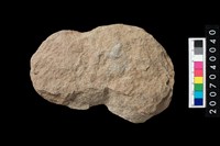 藏品(打製石斧)的圖片