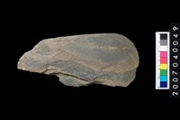 藏品(磨製石斧)的圖片