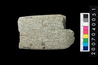 藏品(磨製石斧)的圖片